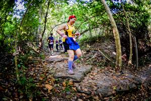 BIB: 
                            <button type="button" onclick="openModal(7048534)" class="btn btn-primary btn-sm float-right btn-popup" data-toggle="modal" data-target=".modal-high-quality">
                        <i class="fas fa-shopping-cart"></i> Add to Cart
                    </button>
                                            <button type="button" onclick="isThisMe(7048534, true)" class="btn btn-success btn-sm float-right btn-popup btn-isme hidden" data-toggle="tooltip" data-placement="bottom" title="นี่คือรูปของคุณใช่ไหม คลิกที่นี่เพื่อเอาเข้าอัลบั้ม">
                        <i class="fas fa-plus"></i> Add to album
                    </button>
                    <button type="button" onclick="isThisMe(7048534, false)" class="btn btn-warning btn-sm float-right btn-popup btn-isnotme hidden">
                        <i class="fas fa-ban"></i> Remove from album
                    </button>